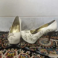 کفش مجلسی