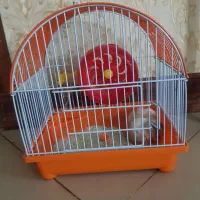 همستر به همراه قفس و لوازم بازی