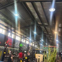 نیروی کار جوان