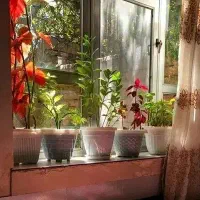 اجاره سوئیت