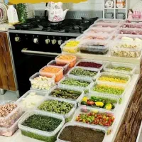 ظروف فریزری