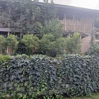 اجاره-روزانه