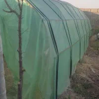 گلخانه