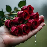 مدارک مرتضی محسنی ابربکوه گم شده