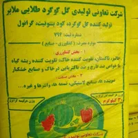 گل گوگرد طلایی ملایر