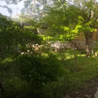 نیازمند وام