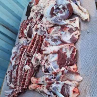 آقای قصاب  (تمیز و مرتب)|خدمات پیشه و مهارت|قم, دروازه چوبی|دیوار