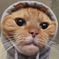 نیازمند ضامن نظامی برای وام ازدواج