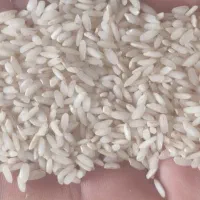 برنج عنبر بو درجه یک|خوردنی و آشامیدنی|بهبهان, |دیوار