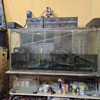 آکواریوم بزرگ با پایه