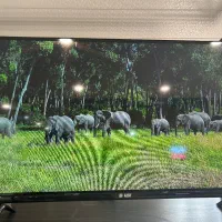 تلوزیون با ابعاد ۲۶ تا ۴۹ مخصوص (دوربین و باغ)|تلویزیون و پروژکتور|اصفهان, خلجا|دیوار