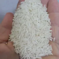 برنج هاشمی اعلا|خوردنی و آشامیدنی|کرج, چمران|دیوار