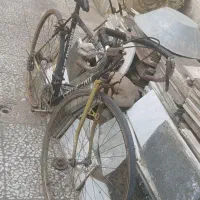 دوچرخه کورسی|دوچرخه، اسکیت، اسکوتر|رشت, رودباری|دیوار