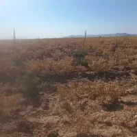 زمین اجاره می خوام|فعالیت داوطلبانه|دهگلان, |دیوار