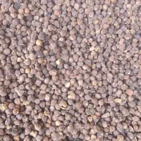 خرید و فروش انجیر ضایعات|عمده‌فروشی|استهبان, |دیوار