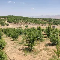 فروش زمین ۴۰۰۰ متری