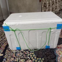 یخدان|ظروف نگهدارنده، پلاستیکی، یک‌بارمصرف|مشهد, عامل|دیوار