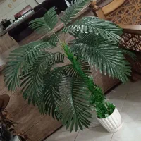 نخل شامادورا مصنوعی|گل مصنوعی|نجف‌آباد, گلدشت|دیوار