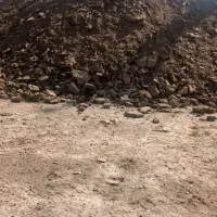 کود گوسفندی