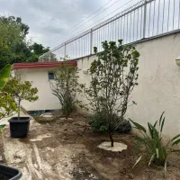 خدمات فضای سبز و باغبانی|خدمات باغبانی و درختکاری|ساری, |دیوار