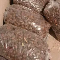 خرید و فروش ضایعات عمده و خورده. درنرماشیر|عمدهفروشی|نرماشیر, |دیوار