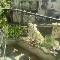 هم خونه خانم با خانم فقط