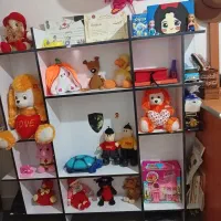 کمد|کتابخانه، شلف، قفسه‌های دیواری|سنندج, |دیوار