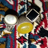 متنوع و خوش رنگ