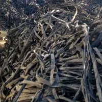 ضایعات نوارتیپ