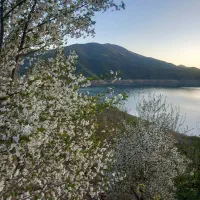 فروش باغ|فروش خانه و ویلا|موچش, |دیوار