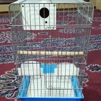 قفس انواع طوطی سانان.