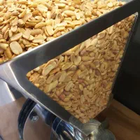 کره بادوم زمینی آستانه عمده تولید در حضور