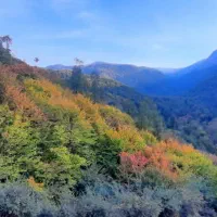 تور طبیعت‌گردی آلش دشت