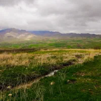 گم شدن کارت ملی