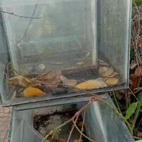 باربند پژو ۴۰۵ آردی روا و اکواریوم با لوازم و ماهی|ماهی|تبریز, |دیوار