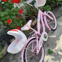 دوچرخه دخترانه|دوچرخه، اسکیت، اسکوتر|بندر انزلی, میان پشته|دیوار