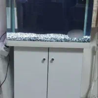 اکواریوم ماهیران