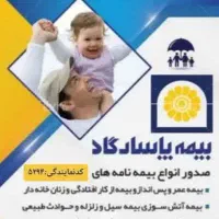 بیمه عمر پاسارگارد حوادث آتش سوزی منزل سیل|خدمات مالی، حسابداری، بیمه|صفادشت, |دیوار