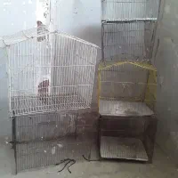 قفس پرنده|لوازم جانبی حیوانات|اهواز, کوی علوی|دیوار