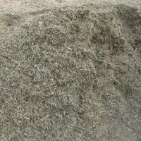 کاه ماشک سبز فروش فوری|حیوانات مزرعه|چرام, |دیوار