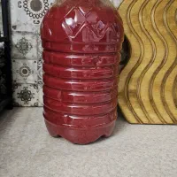 رب خونگی