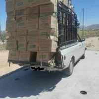تاکسی بارفقط لار و اطراف لارگراش اوز بستک و.و.و.و