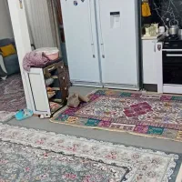 ویلایی سند شش دانگ فروشی