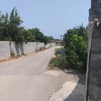 زمین باغی ۲۵۷متری