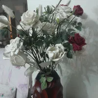 گلهای رز خارجی