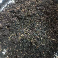 دم مویز