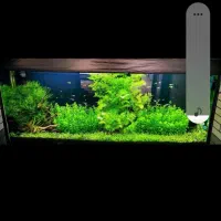 آکواریوم ۲ متری