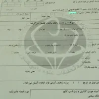 اسب‌نریان مشگی کرد شناسنامه ۱|اسب و تجهیزات اسب‌سواری|قم, آزادگان|دیوار