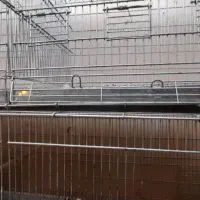 قفس ۴خان دوطبقه