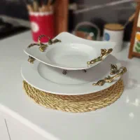 ظرف پذیرایی سرامیکی